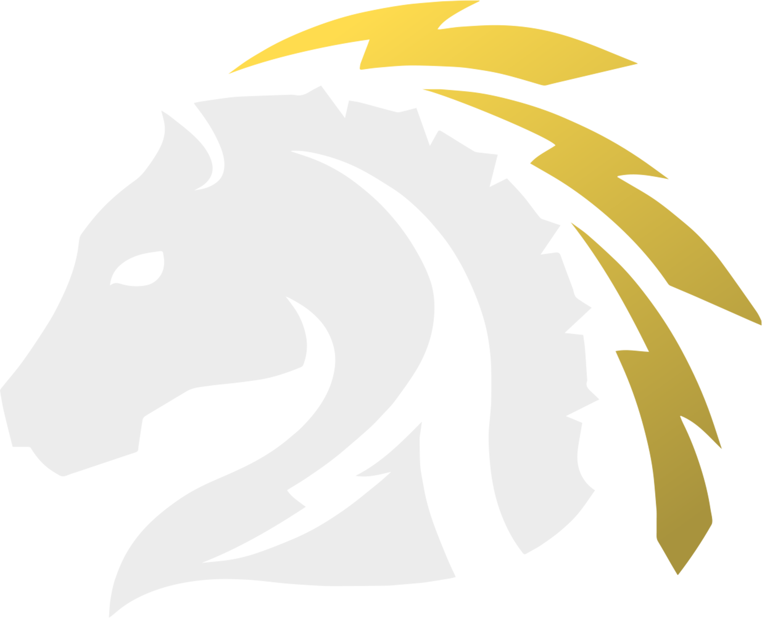 Kansas City Pioneers